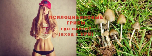 мяу мяу мука Абаза