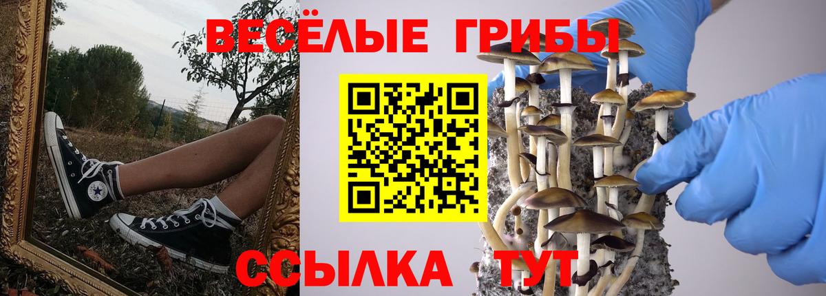 дарнет шоп  Галлюциногенные грибы ЛСД  Вход с VPN  Скопин 