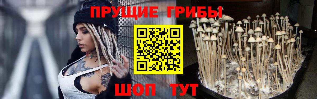 Псилоцибиновые грибы прущие грибы Скопин
